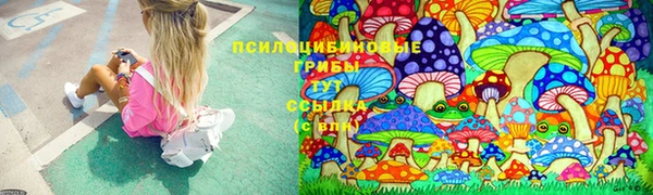 спайс Кинешма