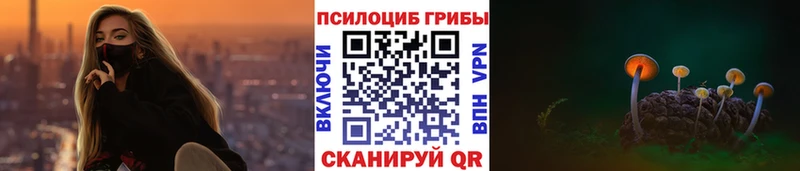Псилоцибиновые грибы Magic Shrooms  Купить где  Балахна 